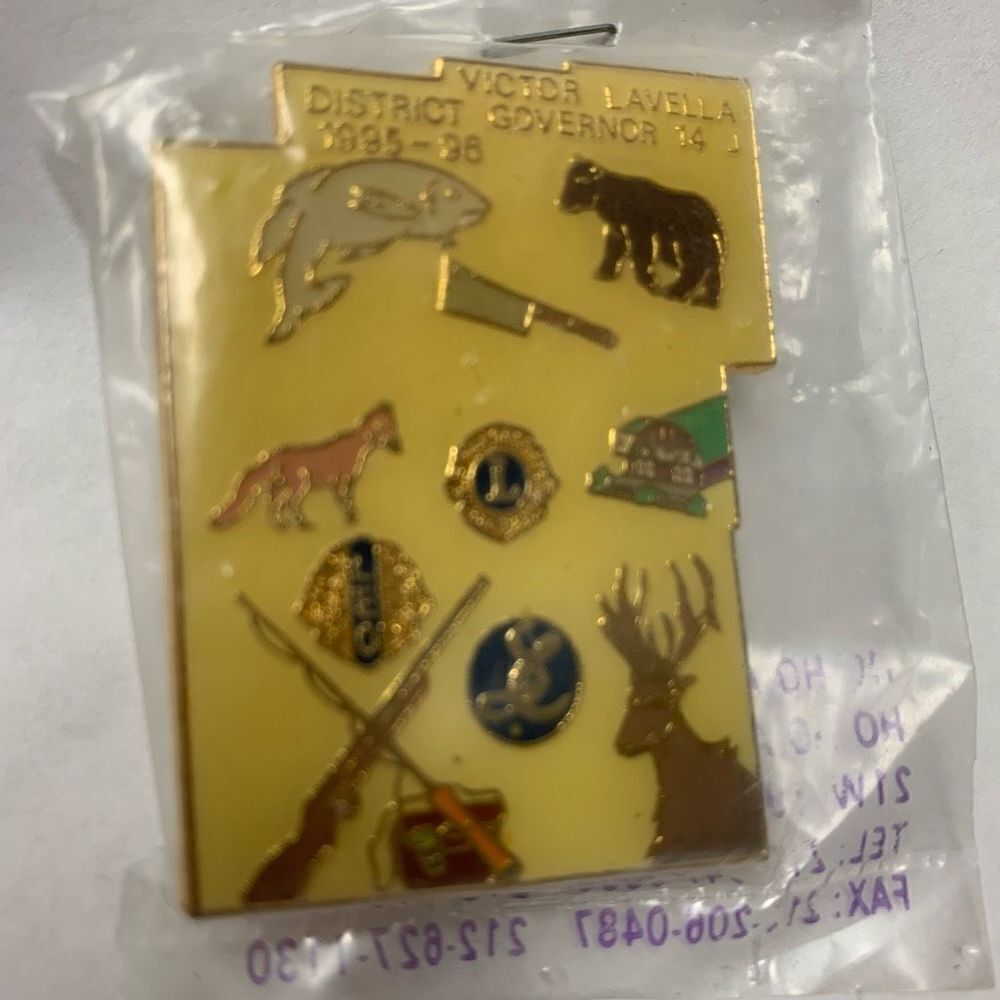 Lions Club Dist 14 J Victor Lavella District Governor 95-96 Enamel Gold Tone Pin
